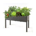 Aukštas medinis lysvės lovelis daržui 125 cm (Pilka)