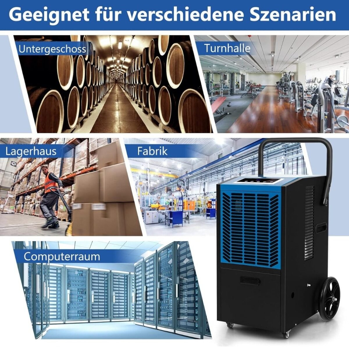 Galingas oro sausintuvas 66 L/parą našumo su automatiniu atitirpinimu (Mėlyna)