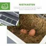 Vištidė su voljeru 3-4 vištoms, 3 skyrių lizdavietė ir ištraukiamas dugnas