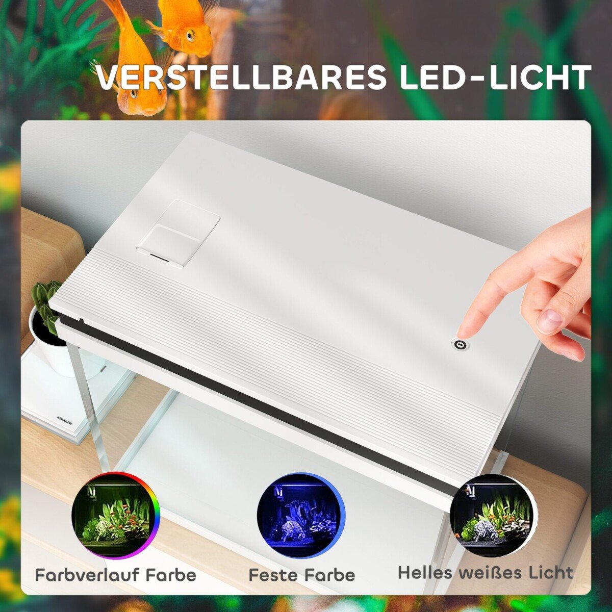 41-litro-akvariumas-su-filtravimo-sistema-ir-LED-apsvietimu-6