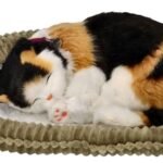 Adoptuok Mane: Kvėpuojantis Trispalvis Kačiukas