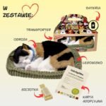 Adoptuok Mane: Kvėpuojantis Trispalvis Kačiukas