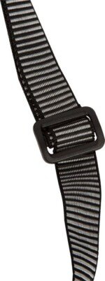 Būgnelis Spalvota Giria