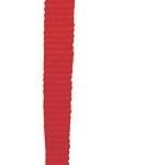 Čiulptuko segtukas braškė