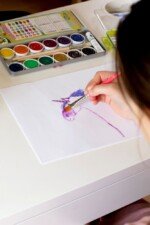 Dažų rinkinys su 12 spalvų, baltu ir teptukais