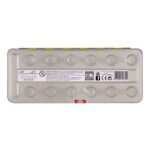 Dažų rinkinys su 12 spalvų, baltu ir teptukais