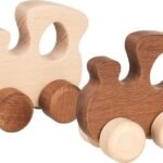 Gamtos lokomotyvas rankytei