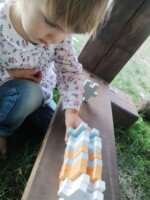 Gyvūnų piramidės dėlionė