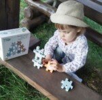 Gyvūnų piramidės dėlionė