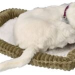 Interaktyvus baltas kvėpuojantis kačiukas