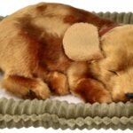 Įvaikinamas kvėpuojantis gyvūnėlis