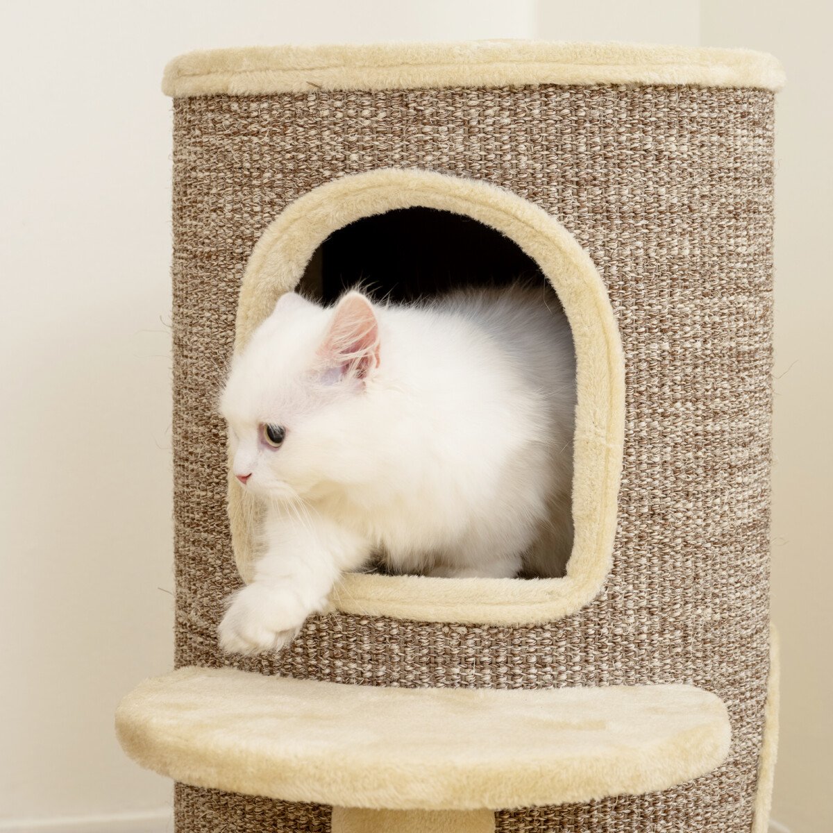 Kačių guolis-draskyklė su 2 aukštais ir apžvalgos platforma