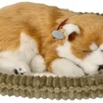 Kvėpuojantis Šiba šuniukas