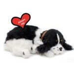 Kvėpuojantis koker spanielio šuniukas