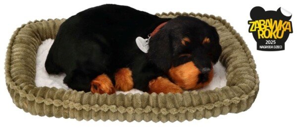 Kvėpuojantis rotveilerio šuniukas