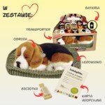 Kvėpuojantis šuniukas Biglis