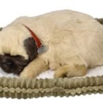 Kvėpuojantis šuniukas mopsas