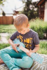 Medinė gitara su gyvūnais