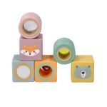 Medinės tyrinėtojų kaladėlės