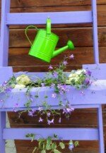 Metalinė laistytuvė žalia