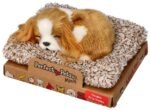 Miegantis šuniukas Cavalier King Charles