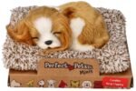 Miegantis šuniukas Cavalier King Charles