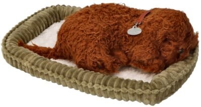 Miegantis šuniukas pudelis