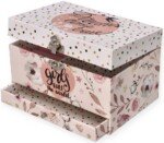 Muzikinė dėžutė „Mergaitės valdo“