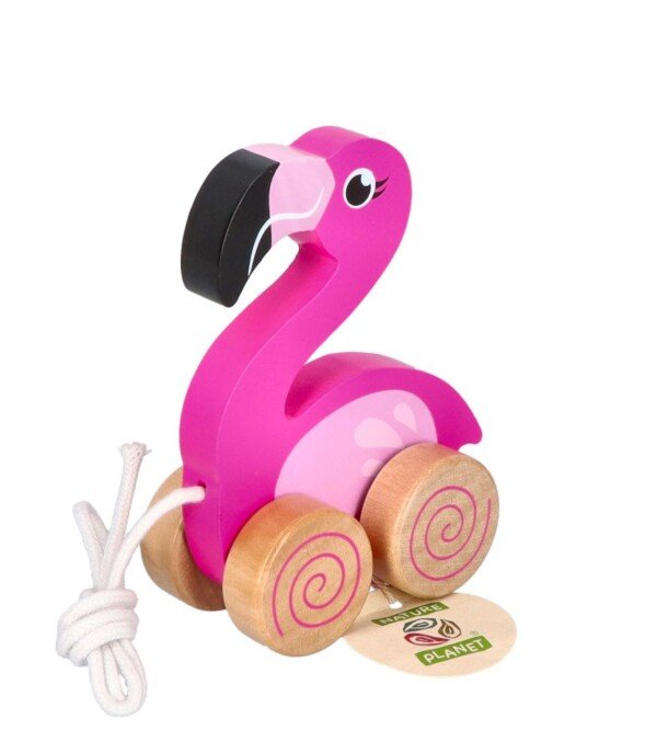 Nature Planet Medinis Traukiamas Flamingas