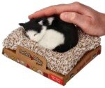 Perfect Petzzz Juodai-balta mieganti katė
