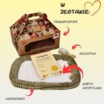 Pliušinis kvėpuojantis dalmatinas