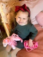 Princesės žirgas krepšelyje