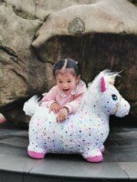 Pripučiamas šokliukas Vienaragis