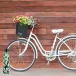 Spalvingas tukanų termosas