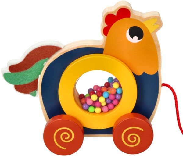 Traukiamas gaidelis Kukuryku