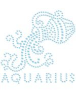 Užlydoma zodiako ženklo aplikacija „Vandenis“ su cirkoniais