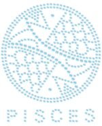 Užlyginama aplikacija su cirkoniais: Zodiako ženklas Žuvys