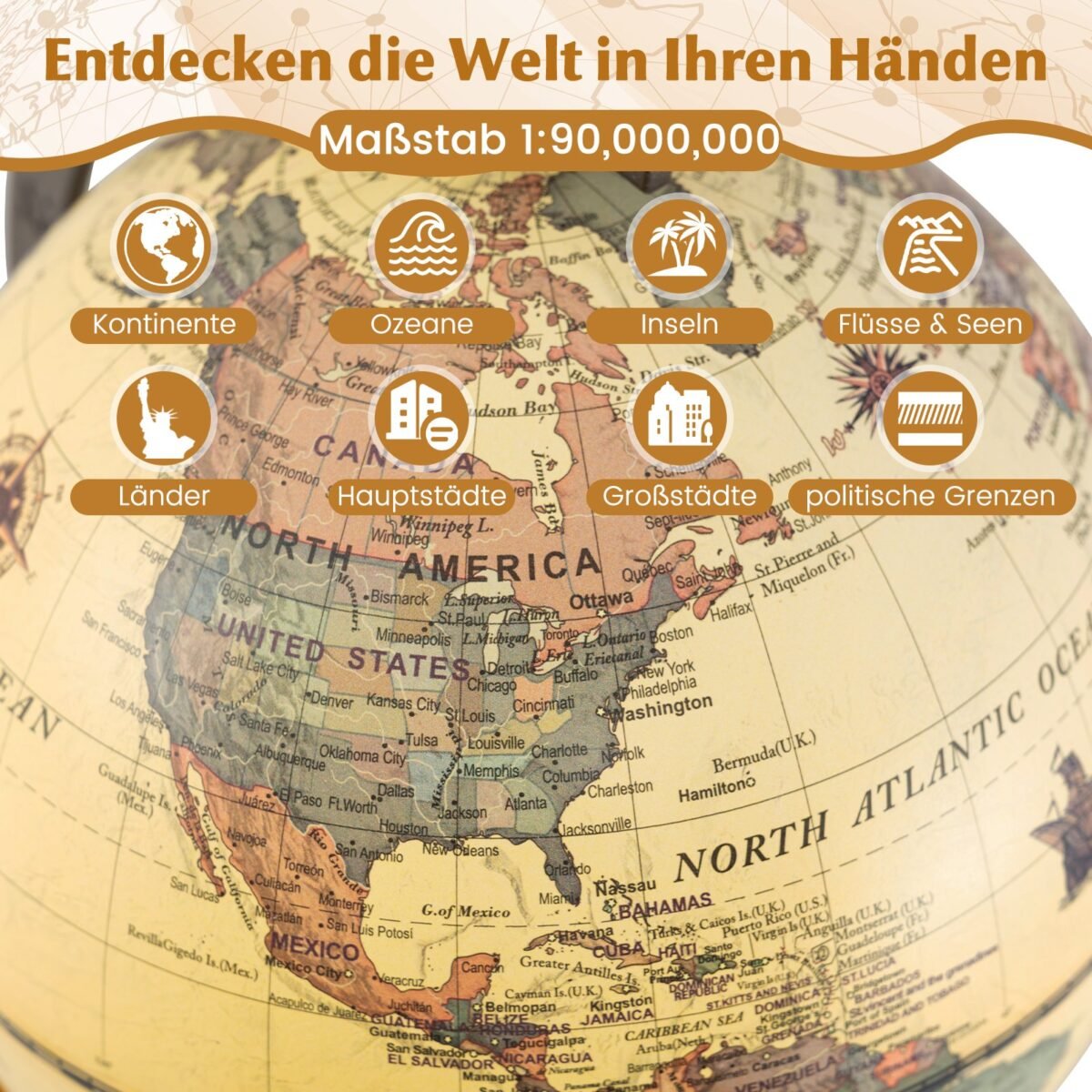 Gaublys su metaliniu stovu – Paveikslėlis 5