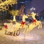 3 dalių LED apšviesta elnių ir rogių kalėdinė dekoracija (Įvairiaspalvis)