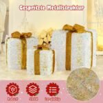 3 dalių šviečiančių dovanų dėžučių rinkinys su šiltomis baltomis LED lemputėmis (Įvairiaspalvė)