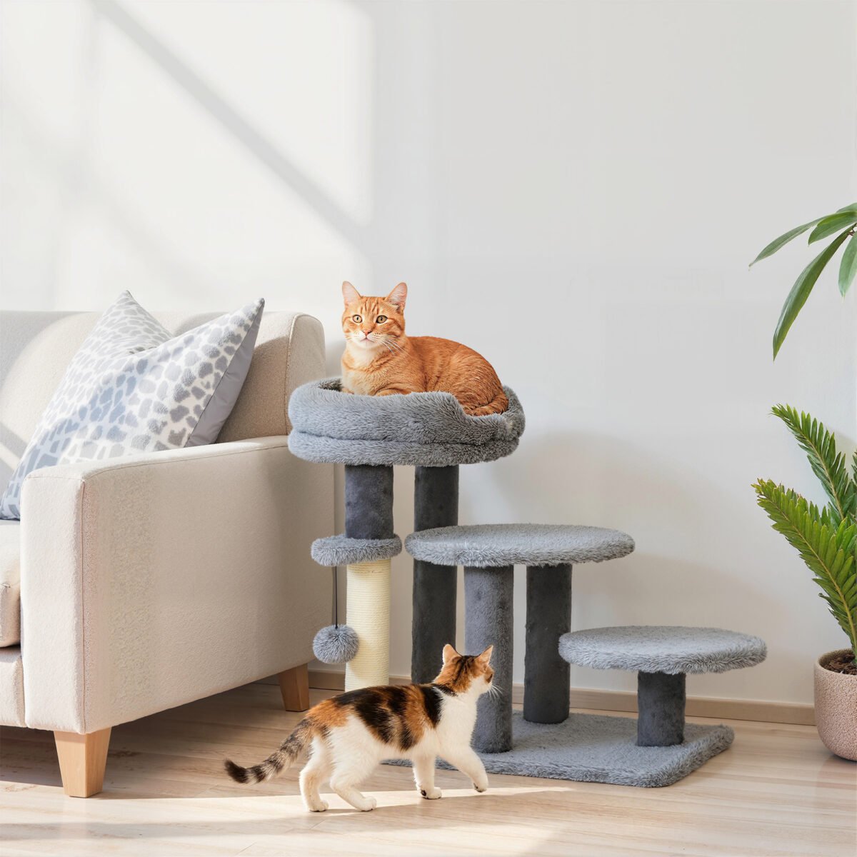 Kačių laiptai-draskyklė su guoliu ir plačiu pagrindu