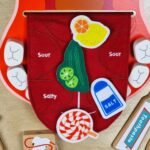 Burnos higienos ir skonių jutiminė lentelė Montessori