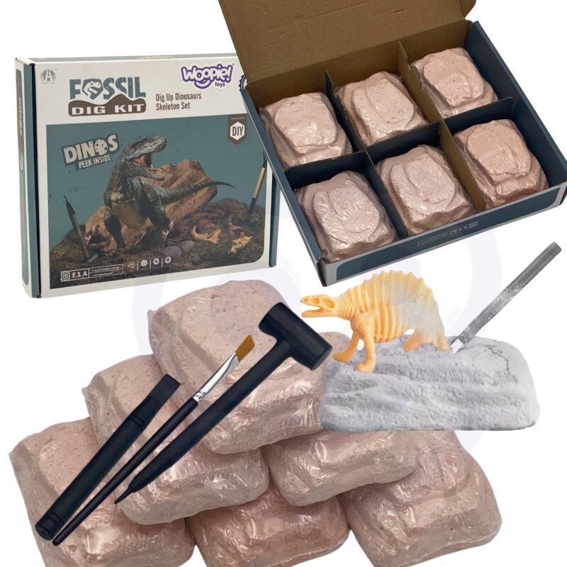 Dinozaurų kasinėjimo rinkinys su 6 gipso blokeliais ir skeletais
