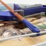 Dinozaurų lanko ir strėlių rinkinys su taikiniu – Paveikslėlis 5