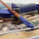 Dinozaurų lanko ir strėlių rinkinys su taikiniu – Paveikslėlis 8