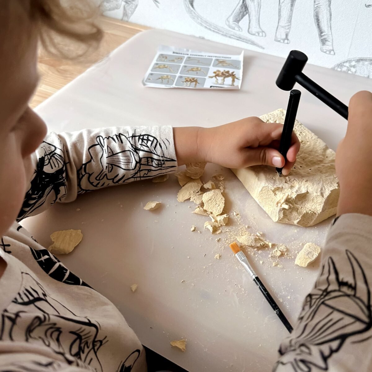 Dinozaurų skeleto kasinėjimo rinkinys – Paveikslėlis 2