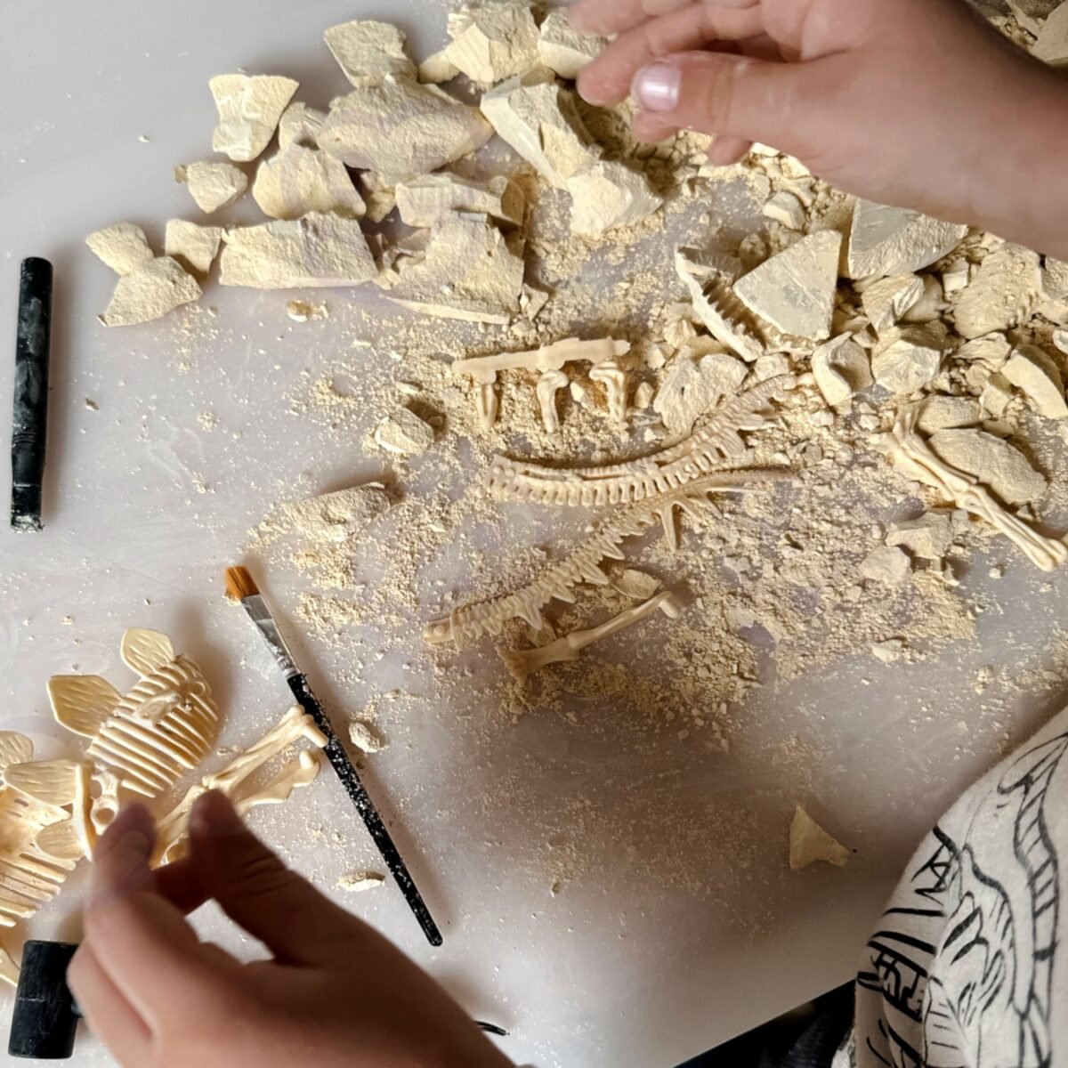 Dinozaurų skeleto kasinėjimo rinkinys – Paveikslėlis 4