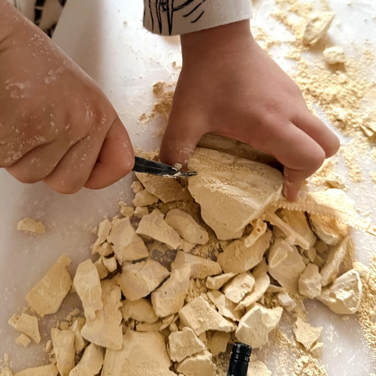 Dinozaurų skeleto kasinėjimo rinkinys – Paveikslėlis 5