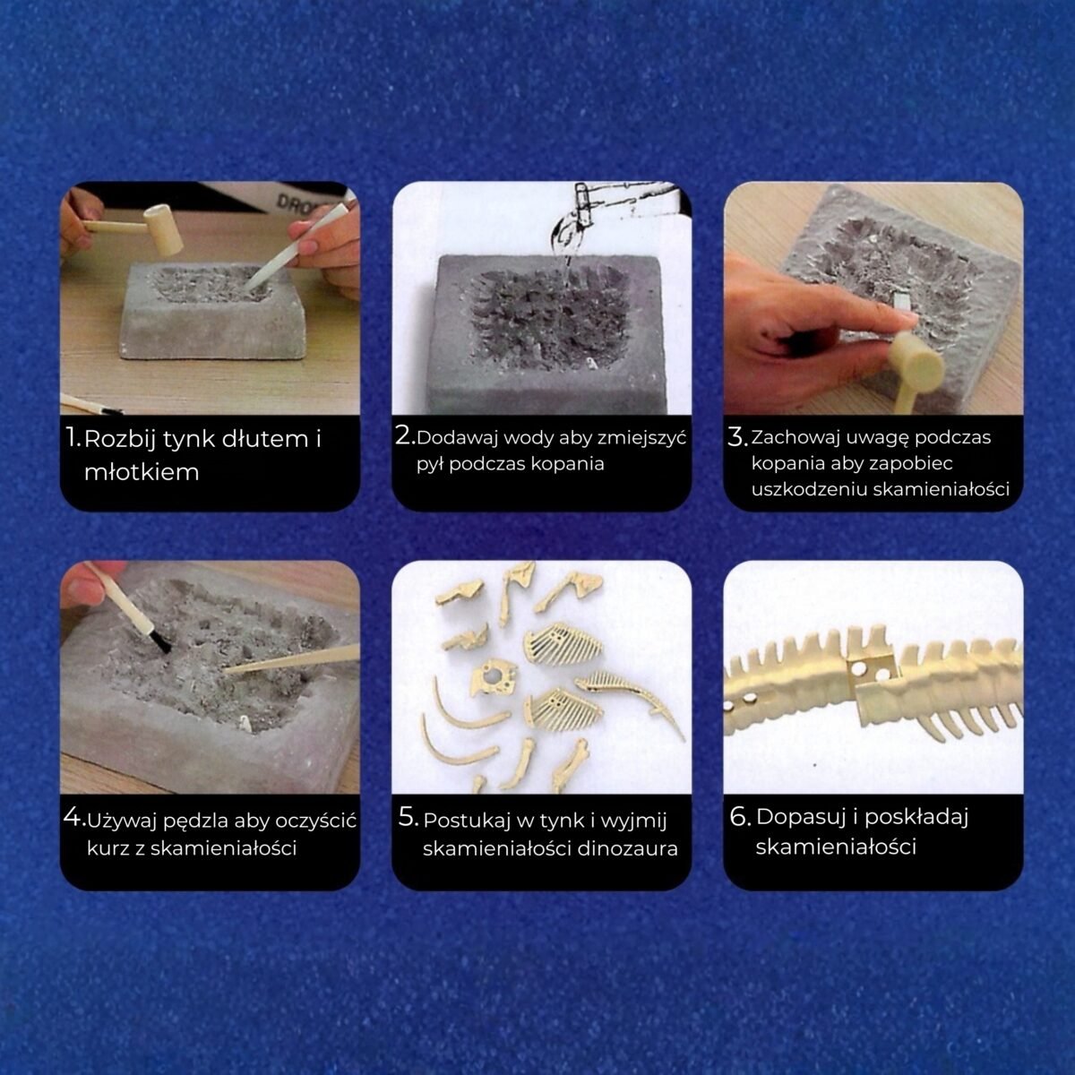 Dinozaurų skeleto kasinėjimo rinkinys – Paveikslėlis 6