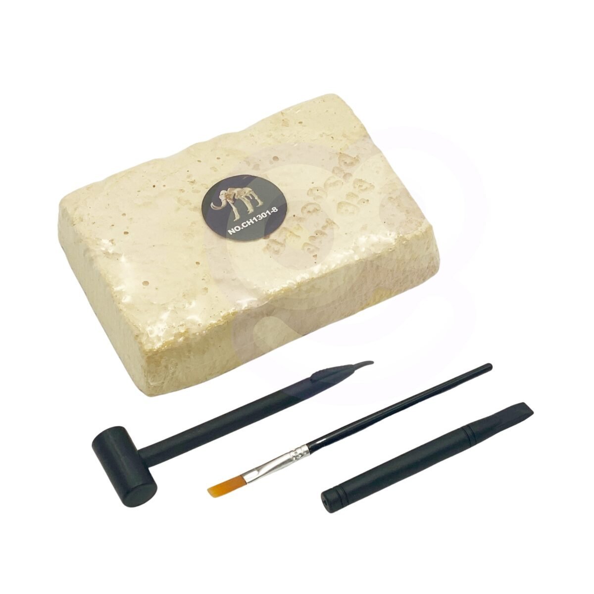 Dinozaurų skeleto kasinėjimo rinkinys – Paveikslėlis 8